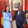 Vice President Vo Thi Anh Xuan meets with Mozambican President Filipe Nyusi during her official visit to Mozambique on September 12, 2023. (Photo: VNA)