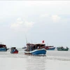 Ca Mau's fishing vessels (Photo: VNA)