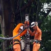 Workers from Hai Ba Trung Electricity in Hanoi fix an incident on medium voltage lines on Han Thuyen Street on September 8. (Photo: VNA)