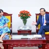 Meeting between Minister of Labour, Invalids and Social Affairs Dao Ngoc Dung (R) and Romanian Ambassador to Vietnam Cristina Romila (Photo: VietnamPlus)