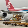 Relief goods provided by Samaritan’s Purse and the Swiss Government for the provinces of Yen Bai, Lao Cai, and Cao Bang, which were heavily impacted by Typhoon Yagi, are transported to Noi Bai Airport in Hanoi on September 16th, 2024. (Photo: VNA)