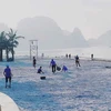 People clean up trash on the beach of Ha Long city in Quang Ninh province. (Photo: hanoimoi.vn)