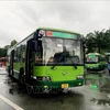 Buses at the Eastern Bus Station in Binh Thanh district. (Photo: VNA)