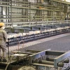 A worker at a steel production line at Thai Nguyen Iron and Steel JSC (Photo: VNA)