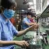 Vietnam is developing high-quality human resources for the semiconductor sector. (Photo: VNA)