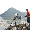 Quang Ninh works hard on post-typhoon waste collection in Ha Long Bay. (Photo: VNA)