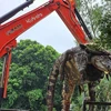 Thai farm culls 125 crocodiles as flood waters rise