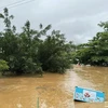 Prolonged heavy rains lead to a rise in the water level of the Lo River in Ha Giang province, causing flooding for houses along the river and posing a risk of drowning. (Photo: VNA)