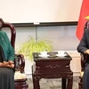 Deputy Prime Minister and Foreign Minister Bui Thanh Son (R) and Malawi’s Foreign Minister Nancy Tempo before the signing ceremony of a joint statement on establishment of diplomatic relations between Vietnam and Malawi (Photo: VNA)