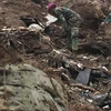 Indonesia: Landslide causes at least 15 deaths