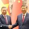 Party General Secretary and State President To Lam (L) and Chinese counterpart Xi Jinping (Photo: VNA)