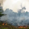 A forest fire in Palangkaraya, Central Kalimantan, Indonesia. (Photo: forestsnews.cifor.org)