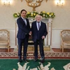 Vietnamese Ambassador to the UK and Ireland Do Minh Hung (L) and Irish President Michael D. Higgins. (Photo: VNA)