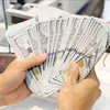 The daily reference exchange rate for the US dollar is set at 24,081 VND/USD on October 1. (Photo: VNA)