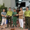 The toothed turtles are handed over to the centre (Photo: VNA)