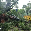 Authorities clear up Dinh Tien Hoang street, Hoan Kiem district, in the heart of Hanoi. (Photo: VNA)