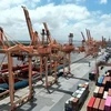 Import-export activities at Hai Phong port (Photo: VNA)