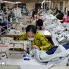 Workers make garment products for export in a company in the northern province of Ha Nam. (Photo: VNA)