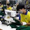 Processing apparel for export (Photo: VNA)