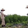 Cleaning areas contaminated with bombs and mines in Quang Binh province (Photo: VNA)