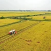 Project helps promote modernisation of rice production