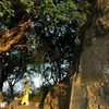 Non Nuoc mountain with poems inscribed on cliffs. (Photo: VNA)