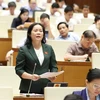 A legislator speaks at the NA meeting on October 22. (Photo: VNA)