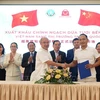 Vietnamese and Chinese enterprises sign a coconut purchase contract at a ceremony. (Photo: VNA)