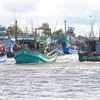 Ca Mau still has 274 “three Nos” vessels, of which 65 boats have been sold but their new owners have not registered to competent authorities. (Photo: VNA)