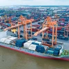 Cargo ships at Hai Phong Port (Photo: VNA)