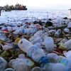 A boy collects plastic waste scattered on a beach in Ternate, North Maluku province of Indonesia. (Photo: Antara)