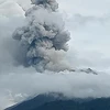 Mount Lewotobi Laki-Laki in Flores Island, Nusa Tenggara province, eastern Indonesia erupts on November 3. (Photo: Detiknews)