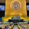 Minister Counsellor Nguyen Hoang Nguyen speaks at the United Nations General Assembly's debate on its reforms. (Photo: VNA)