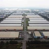 A corner of Vietnam-Singapore Industrial Park II in Binh Duong province. The country currently offers 33,000 hectares of industrial parks for lease, with an occupancy rate of approximately 80%. (Photo: VNA) 