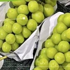 Shine Muscat grapes imported from China (Photo: Bangkok Post)