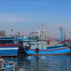 Tam Quang fishing port in Nui Thanh district of Quang Nam province. (Photo: VNA)