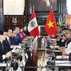 The talks between Vietnamese State President Luong Cuong and President of Peru Dina Ercilia Boluarte Zegarra. (Photo: VNA)