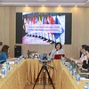 An overview of consultation workshop (Photo: VNA)