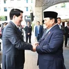 State President Luong Cuong (L) shakes hands with Indonesian counterpart Prabowo Subianto (Photo: VNA)