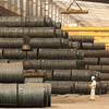 Vietnam’s steel output is forecast to reach 30 million tonnes this year, up seven per cent over 2023. (Photo: VNA) 