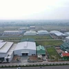 An industrial cluster in Y Yen district, Nam Dinh province. (Photo: VNA)