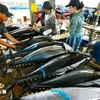 Workers process tuna. (Photo VNA)