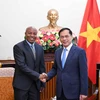 Deputy Prime Minister and Foreign Minister Bui Thanh Son (R) receives Tanzania's Deputy Minister of Foreign Affairs and East African Cooperation Cosato David Chumi in Hanoi on December 3. (Photo: VNA)