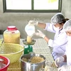 Workers of Phu Lai Agricultural Cooperative in Yen Thuy district, Hoa Binh province prepare pickled pearl onions for export to the UK. (Photos courtesy of the Culture, Sports and Communication Centre of Yen Thuy district)