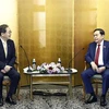 National Assembly Chairman Tran Thanh Man (R) meets with Saito Tetsuo, Chief Representative of Komeito Party in Tokyo on December 6 (Photo: VNA)