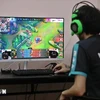 Vietnam's gaming industry’s revenue is projected to reach approximately 12.5 trillion VND (492.65 million USD) in 2024 (Photo: VNA)