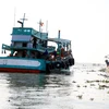 Fishing vessels operate in an estuary of An Bien district, Kien Giang province. (Photo: VNA)