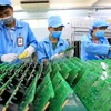  Vietnam a magnet to semiconductor investment