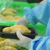 Durian exports to top 3 billion USD in 2024