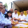 Can Tho exports 250 tonnes of longan annually